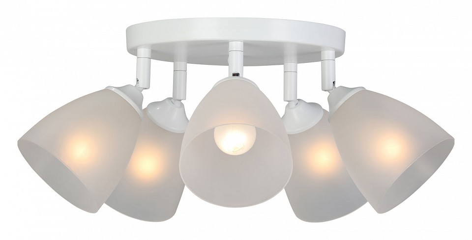 Потолочная люстра Vitaluce V4355 V4355-0/5PL в интернет-магазине "Галерея света"
