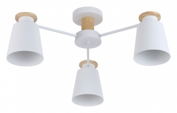 Потолочная люстра Rivoli Adna Б0053435 в интернет-магазине "Галерея света"