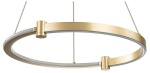 Подвесной светильник Indigo Circolato 14015/1P Gold в интернет-магазине "Галерея света"