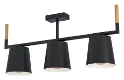 Светильник на штанге Eglo Lacey 43611 в интернет-магазине "Галерея света"