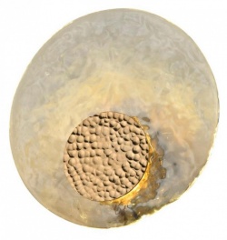 Накладной светильник Aployt Eugenia APL.336.11.07 в интернет-магазине "Галерея света"