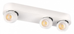 Накладной светильник Loft it Quiet 10320/3 White в интернет-магазине "Галерея света"