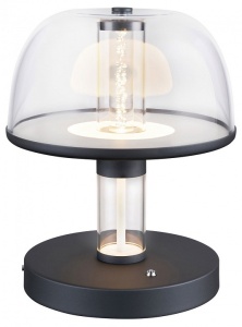 Настольная лампа декоративная Favourite Flaska 4312-1T в интернет-магазине "Галерея света"