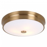 Накладной светильник Favourite Pannikin 2375-3C в интернет-магазине "Галерея света"