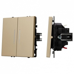 Выключатель двухклавишный без рамки Arlight SWT 054265 в интернет-магазине "Галерея света"