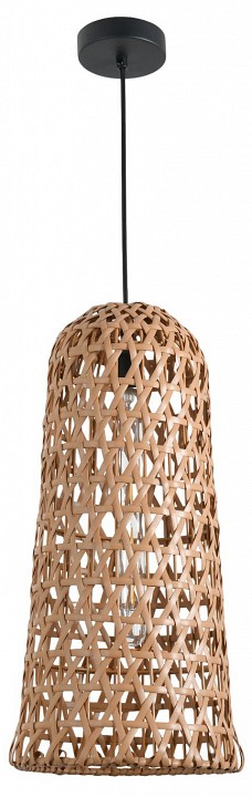 Подвесной светильник Favourite Recinto 4888-1P в интернет-магазине "Галерея света"