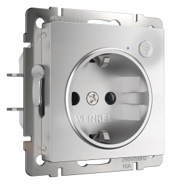 Розетка с заземлением и со шторками, без рамки с Wi-Fi Werkel серебряный W1171606 в интернет-магазине "Галерея света"