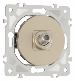 ТВ-розетка без рамки Arte Milano am-202 202.42-1.shampan в интернет-магазине "Галерея света"