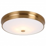 Накладной светильник Favourite Pannikin 2375-5C в интернет-магазине "Галерея света"