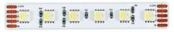 Лента светодиодная ST-Luce ST5005 ST5005.418.20RGBW.1 в интернет-магазине "Галерея света"