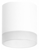 Накладной светильник Lightstar Rullo R348680 в интернет-магазине "Галерея света"