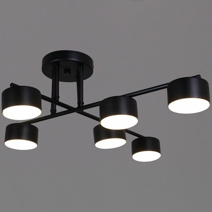 Люстра на штанге 03725-0.3-06 BK GX53 в интернет-магазине "Галерея света"