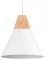 Подвесной светильник EVOLUCE Modica SLE125103-01 в интернет-магазине "Галерея света"