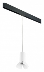 Подвесной светильник Lightstar Rullo PRORP486436 в интернет-магазине "Галерея света"