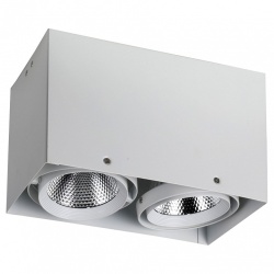 Накладной светильник Favourite Flashled 1986-2U в интернет-магазине "Галерея света"