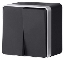 Выключатель двухклавишный влагозащищенный Werkel Gallant (черный с серебром) W5020234 в интернет-магазине "Галерея света"