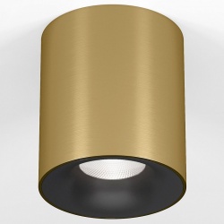 Накладной светильник Elektrostandard Primo 25116/LED в интернет-магазине "Галерея света"