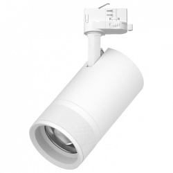 Светильник на штанге Lightstar Canno Pro C4406QT в интернет-магазине "Галерея света"