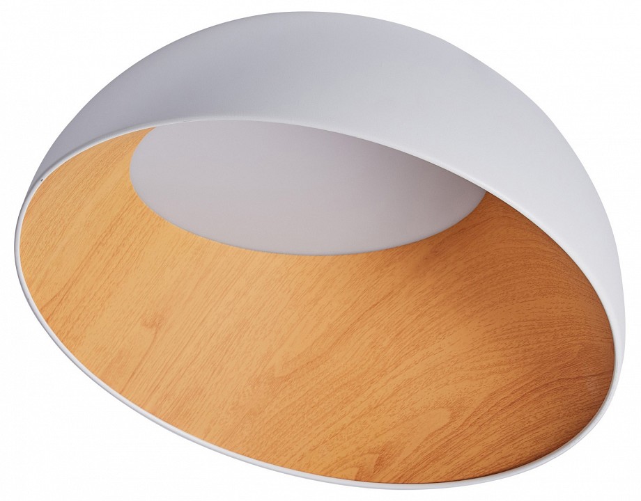 Накладной светильник Zortes Baum ZRS.01201.19 в интернет-магазине "Галерея света"