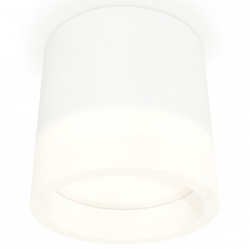 Накладной светильник Ambrella Light XS XS8110001 в интернет-магазине "Галерея света"