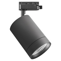 Светильник на штанге Lightstar Canno 303274 в интернет-магазине "Галерея света"