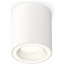 Накладной светильник Ambrella Light XS XS7421020 в интернет-магазине "Галерея света"