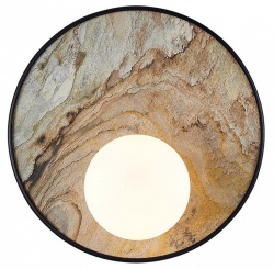 Накладной светильник Favourite Messier 4594-1W в интернет-магазине "Галерея света"