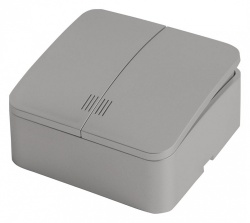 Выключатель двухклавишный с подсветкой Stekker София 49298 в интернет-магазине "Галерея света"