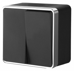 Выключатель двухклавишный влагозащищенный Werkel Gallant (черный/хром) W5020235 в интернет-магазине "Галерея света"