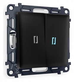 Выключатель двухклавишный с подсветкой без рамки Ambrella Volt ALFA MA804020 в интернет-магазине "Галерея света"