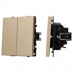 Выключатель двухклавишный без рамки Arlight SWT 054253 в интернет-магазине "Галерея света"