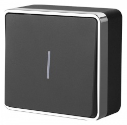 Выключатель одноклавишный с подсветкой Werkel Gallant (черный/хром) W5010135 в интернет-магазине "Галерея света"