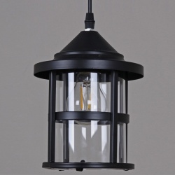 Подвесной светильник 05082-0.9-01 BK в интернет-магазине "Галерея света"