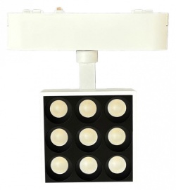 Светильник на штанге Wertmark WTH WTH.O14.007.40.09 в интернет-магазине "Галерея света"