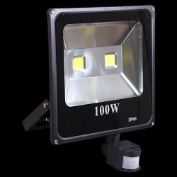 Настенный прожектор  54100-0.2-001QY LED100W+SENSOR BK в интернет-магазине "Галерея света"