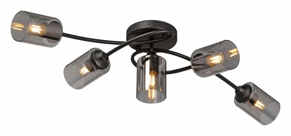 Потолочная люстра Vitaluce V2048 V2048-1/5PL в интернет-магазине "Галерея света"