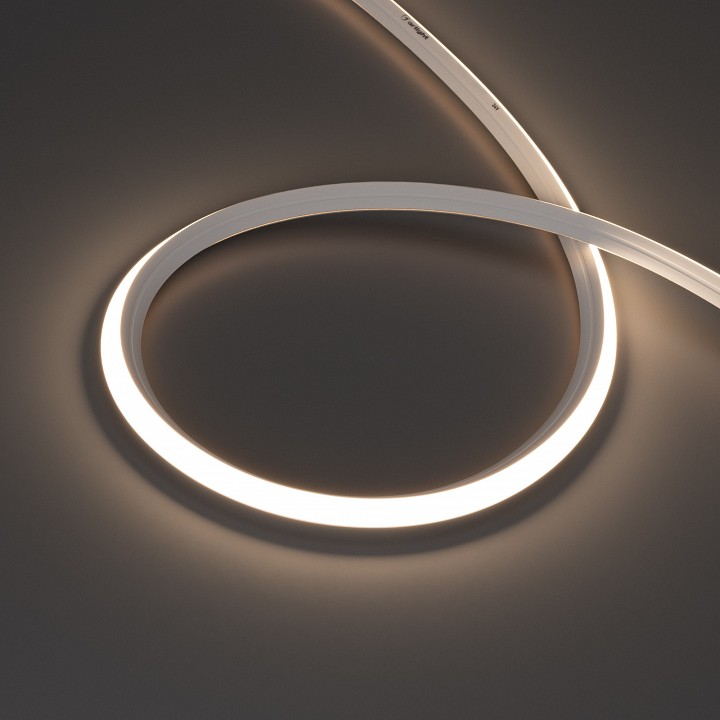 Лента светодиодная Arlight MOONLIGHT 041501 в интернет-магазине "Галерея света"