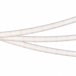 Лента светодиодная Arlight RTW-PSW-A308-12mm 053507 в интернет-магазине "Галерея света"