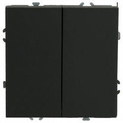 Выключатель двухклавишный без рамки Stekker Эмили 49840 в интернет-магазине "Галерея света"