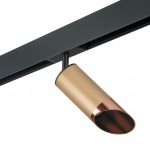 Светильник на штанге Lightstar Rullo PRO440130 в интернет-магазине "Галерея света"