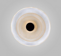 Накладной светильник Aployt Stusia APL.350.01.03 в интернет-магазине "Галерея света"