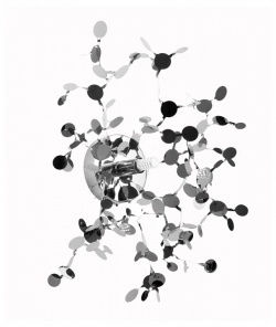 Накладной светильник Lightstar Extra 721634 в интернет-магазине "Галерея света"