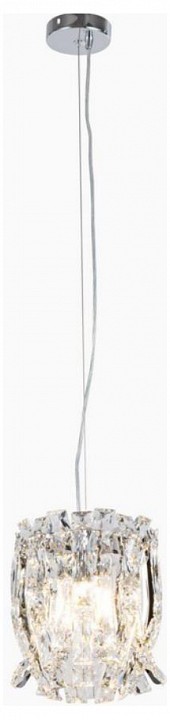 Подвесная люстра Aployt Benoayt APL.794.06.02 в интернет-магазине "Галерея света"