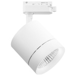 Светильник на штанге Lightstar Canno 301262 в интернет-магазине "Галерея света"