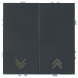 Выключатель самовозвратный двухклавишный без рамки Stekker Эмили 50327 в интернет-магазине "Галерея света"