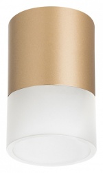 Накладной светильник Lightstar Rullo R349081 в интернет-магазине "Галерея света"