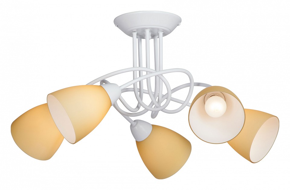 Потолочная люстра Vitaluce V3955 V3955-0/5PL в интернет-магазине "Галерея света"