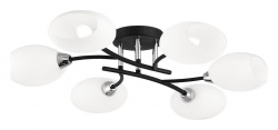 Потолочная люстра Citilux Флорида CL148165 в интернет-магазине "Галерея света"