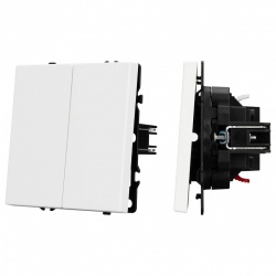 Выключатель проходной двухклавишный без рамки Arlight SWT 054242 в интернет-магазине "Галерея света"