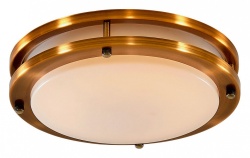 Накладной светильник Citilux Бостон CL709203N в интернет-магазине "Галерея света"